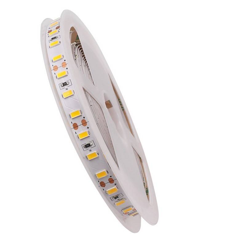 Tira LED 12V DC -Monocolor - 15W/m - 10mm - IP20 - Rollo de 5 metros (1)