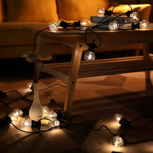 Guirnalda luminosa LED 10 bombillas integradas - 8 metros (4)