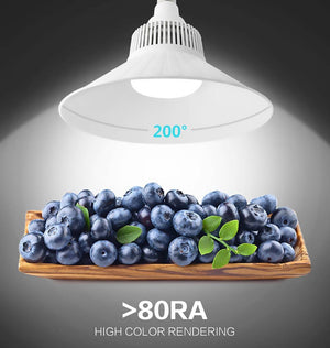 Bombilla industrial LED E40 100W - 10.000lm - 230V (5)