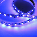 Tira de LED 12V-DC 72W 10mm multicolor RGB IP20 (SMD5050 60ch/m) Rollo 5 metros 4