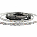 Striscia LED 12V-DC 72W 10mm monocolore IP20 (SMD5050 60cn/m) Rotolo 5 metri 4