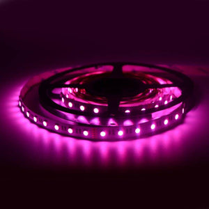 Tira de LED 24V-DC 96W RGBWW IP20 (SMD5050) Rollo 5 metros (5)