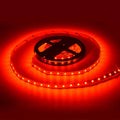 LED Strip 12V-DC 50W 10mm single color IP20 (SMD2835 60ch/m) 5 meter roll 4