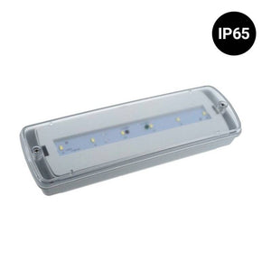 KIT Luz de emergencia LED 3W + Caja estanca - 3h de autonomía - IP65 (3)