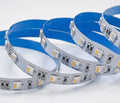 Fita de LED 24V-DC 96W 12mm RGBW IP20 (SMD5050) Rolo 5 metros 5