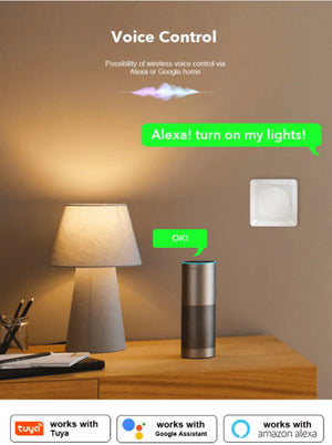 Dimmer Smart WIFI 200W Función Encendido/Apagado - Barcelona Led-Control y regulación