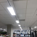 Three-phase rail adapter connector for luminaires 5