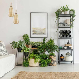 Lámpara colgante de mimbre "Boa" - Barcelona Led-Decoración