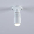 Aplique de techo con zoom - Orientable - 2700K - 3W 3