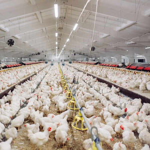 Luminaria estanca tubular para uso industrial - 120cm - 30W - IP65 - IK10 (12)