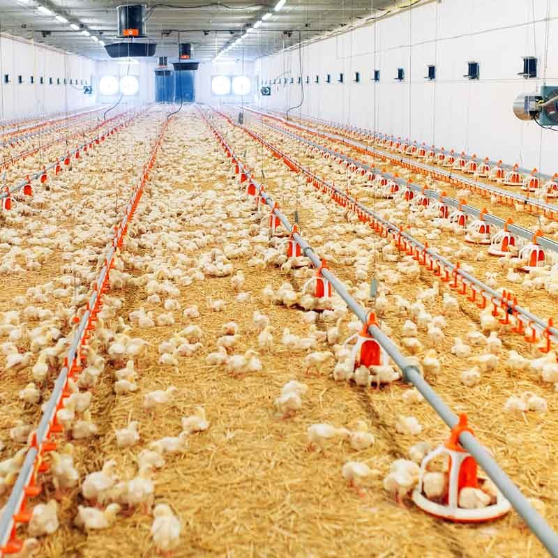 Luminaria estanca tubular para uso industrial - 120cm - 30W - IP65 - IK10 (1)