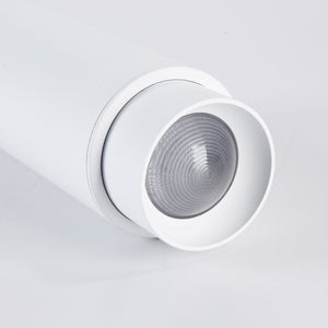 Aplique de techo LED 8W - Ángulo lumínico ajustable - 2800K (4)