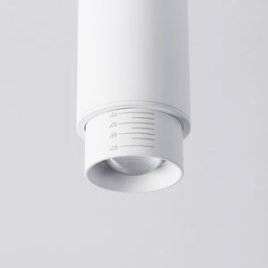 Aplique de techo LED 8W - Ángulo lumínico ajustable - 2800K (5)