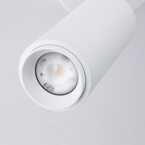 Aplique de techo LED orientable 8W - Ángulo ajustable - 2800K (10)