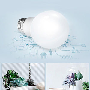 Bombilla Esférica LED E14 G45 5W Opal (3) & Bombilla Esférica LED E14 G45 5W Opal