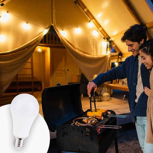 Bombilla 12-24V DC 8W E27 A60 para caravanas, camping y embarcaciones - Barcelona Led-