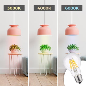 Bombilla LED filamento E27 60 - 8W - Transparente - Barcelona Led-