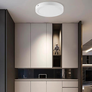 Plafón LED de superficie 24W Alta Eficiencia (7)