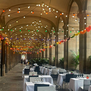 Guirnalda Exterior conectable en serie IP44 6,5m con 10 casquillos E27 (1)