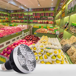 Bombilla LED PAR30 E27 35W 2800lm (12)