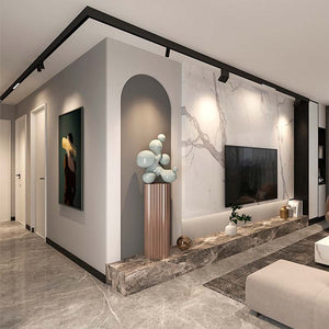 Carril magnético 20mm de superficie 48V - 2 metros (11)