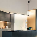 Linear pendant lamp