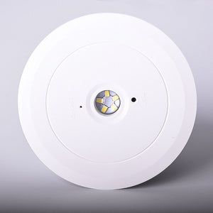 Luz de emergencia LED para empotrar 150lm 2,5W - 3 horas IP20 (5)