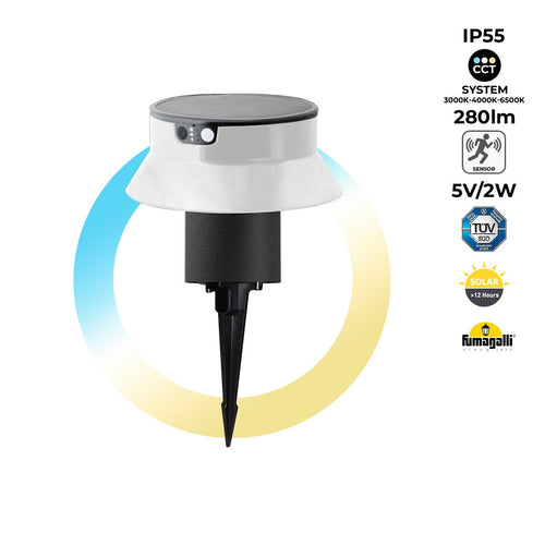 Solar LED bollard with stake