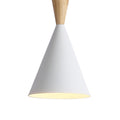 Nordic metal and wood pendant light