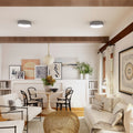 Ceiling LED lamp
