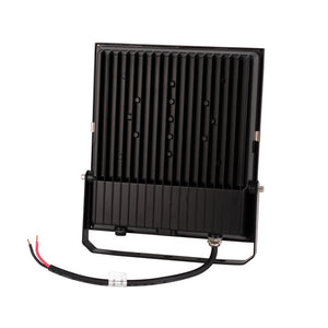 Proyector LED exterior 100W - 12-24V DC - 120º - IP66 (12)