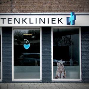 Cruz de veterinaria LED monocolor azul - 50x50cm - Doble cara - Exterior - Barcelona Led-Signage
