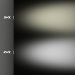 Bombilla LED E27 alta potencia -15W - CCT - Fumagalli - ø100mm - Barcelona Led-