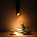 Suspension LED spotlight for magnetic rail - 48V - 7W - Low UGR - CRI95 2