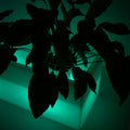 RGBW Rechargeable RGBW LED Planter - 12W - IP67 3