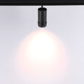 Magnetyczny reflektor LED z zoomem 10-55º - 48V - 12W 5