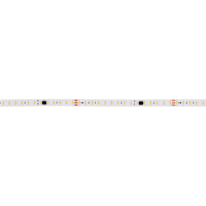 Tira LED monocolor inteligente IC 24V DC - 15W/m - IP20 - 120LED/m - Ancho 10mm - 10 metros - Barcelona Led-