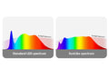 Żarówka LED GU10 6W Full Spectrum