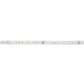 Ruban LED 24V DC - 12W/m - Monochrome - 10mm - IP20 - 5 mètres - SMD2835 60LED/m 3