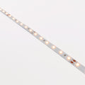 Ruban LED 24V DC - 12W/m - Monochrome - 10mm - IP20 - 5 mètres - SMD2835 60LED/m 4