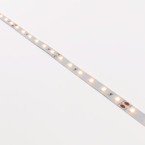 Tira LED 24V DC - 12W/m - Monocolor- 10mm - IP20 - 5 metros - SMD2835 60ch/m (3)