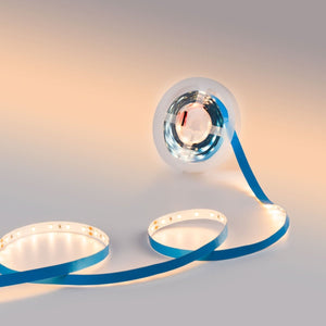Tira LED 24V DC - 12W/m - Monocolor- 10mm - IP20 - 5 metros - SMD2835 60ch/m (1)