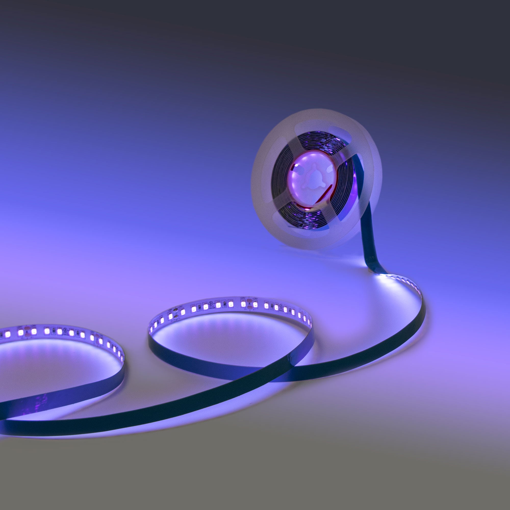 Tira LED 24V DC - 18W/m - Ultravioleta - 10mm - IP20 - 5 metros - SMD2835 120ch/m (1)