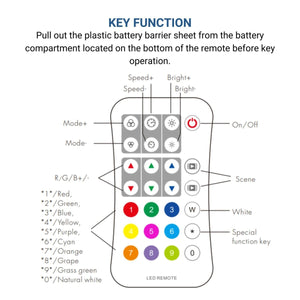 Mando a distancia para controlador de tiras LED IC RGB/RGBW SPI - 1 Zona - RF 2.4G - Barcelona Led-Control y regulación