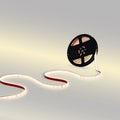 Ruban LED 24 V DC - 12 W/m - Monocolore - 12 mm - IP67 - 5 mètres - SMD2835 60 canaux/m 2
