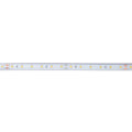 Ruban LED 24 V DC - 12 W/m - Monocolore - 12 mm - IP67 - 5 mètres - SMD2835 60 canaux/m 4