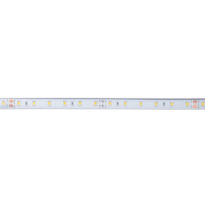 Tira LED 24V DC - 12W/m - Monocolor- 12mm - IP67 - 5 metros - SMD2835 60ch/m - Barcelona Led-