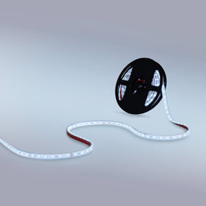Tira LED 24V DC - 12W/m - Monocolor- 12mm - IP67 - 5 metros - SMD2835 60ch/m - Barcelona Led-