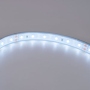 Tira LED 24V DC - 12W/m - Monocolor- 12mm - IP67 - 5 metros - SMD2835 60ch/m - Barcelona Led-