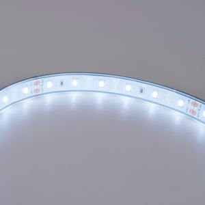 Tira LED 24V DC - 12W/m - Monocolor- 12mm - IP67 - 5 metros - SMD2835 60ch/m (6)